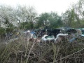 20090413ChasseAuxOeufsEtNettoyage-23.jpg