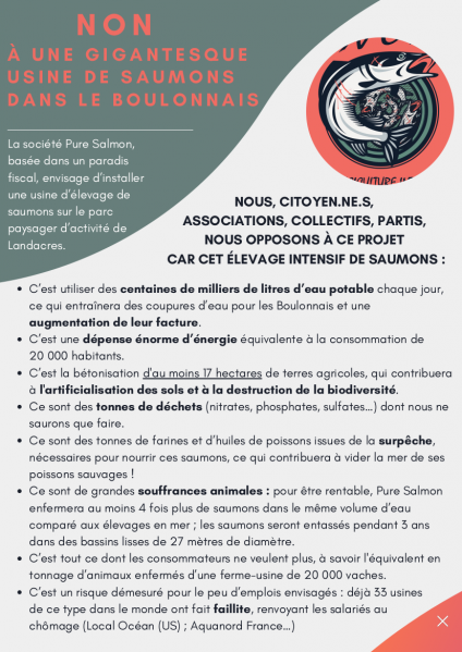 Fichier:Pure-Salmon-recto.png