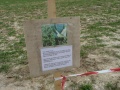 20090413ChasseAuxOeufsEtNettoyage-03.jpg