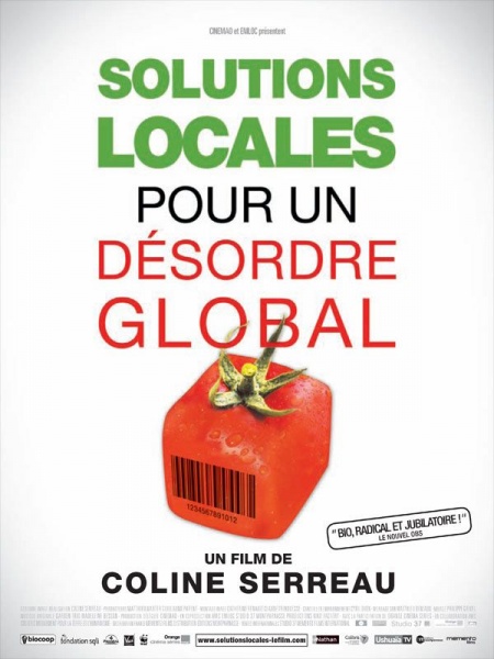 Fichier:SolutionsLocalesDesordreGlobal.jpg